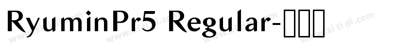 RyuminPr5 Regular字体转换